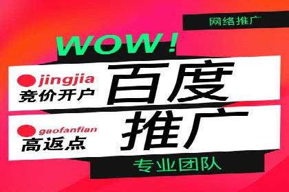 百度竞价代运营成功案例解析